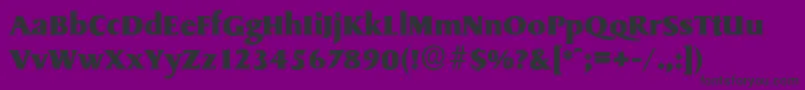 SydneyserialHeavyRegular Font – Black Fonts on Purple Background