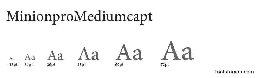 Размеры шрифта MinionproMediumcapt