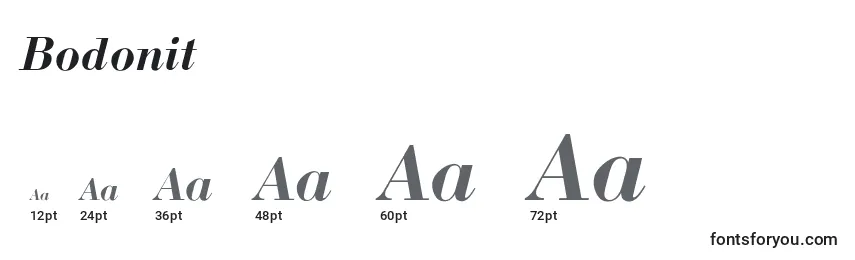 Bodonit Font Sizes