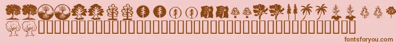 KrTrees Font – Brown Fonts on Pink Background