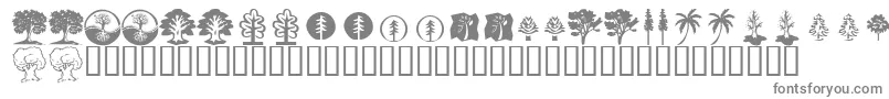 KrTrees Font – Gray Fonts on White Background
