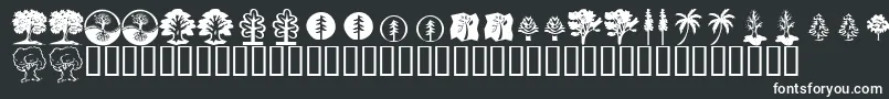 KrTrees Font – White Fonts on Black Background