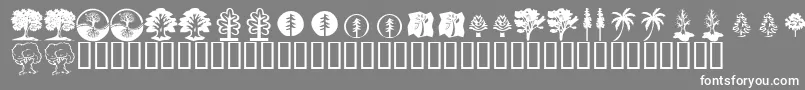 KrTrees Font – White Fonts on Gray Background