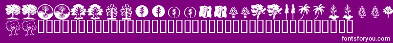 KrTrees-Schriftart – Weiße Schriften auf violettem Hintergrund