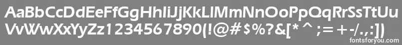Erasd Font – White Fonts on Gray Background
