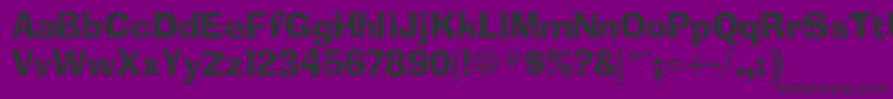 AdimesdbNormal Font – Black Fonts on Purple Background