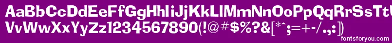 AdimesdbNormal Font – White Fonts on Purple Background