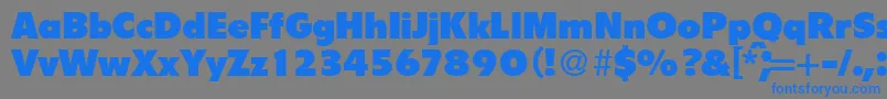 FlipperBoldDb Font – Blue Fonts on Gray Background