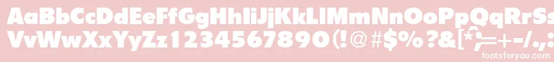 FlipperBoldDb Font – White Fonts on Pink Background