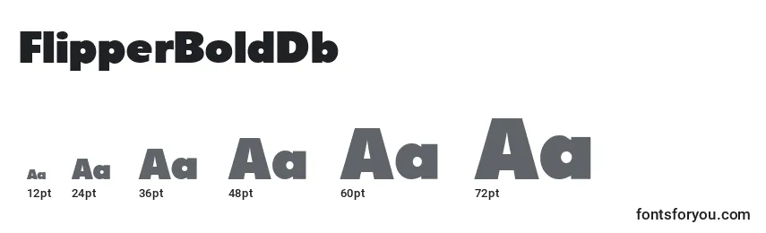 FlipperBoldDb Font Sizes