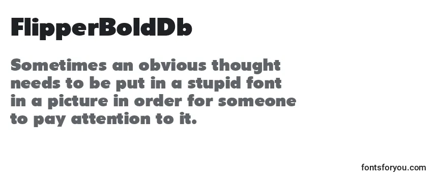 FlipperBoldDb-fontti