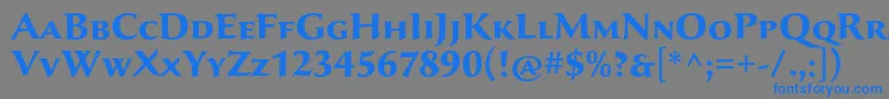 フォントSavaproBold – 灰色の背景に青い文字