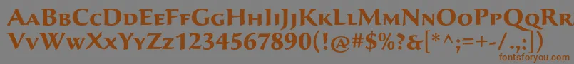 SavaproBold Font – Brown Fonts on Gray Background