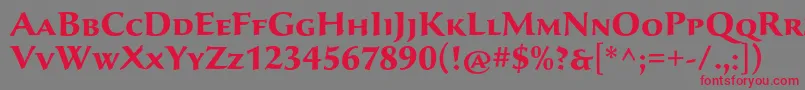 フォントSavaproBold – 赤い文字の灰色の背景