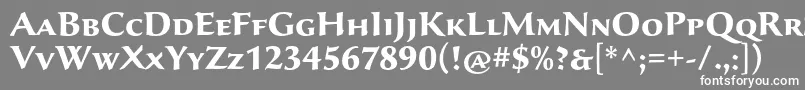 フォントSavaproBold – 灰色の背景に白い文字