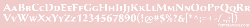 SavaproBold Font – White Fonts on Pink Background