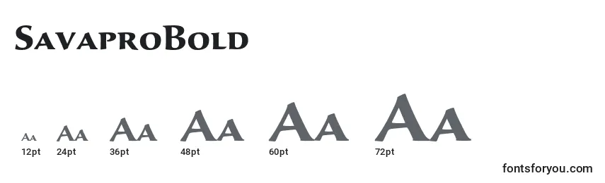 SavaproBold Font Sizes
