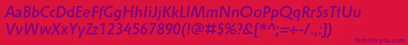 SolperamediumItalic Font – Purple Fonts on Red Background