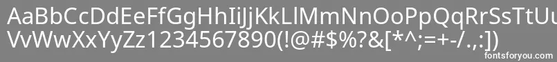 NotoSans Font – White Fonts on Gray Background