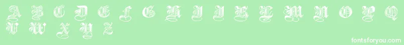 HalftoneBlackDemibold Font – White Fonts on Green Background