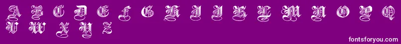 HalftoneBlackDemibold Font – White Fonts on Purple Background