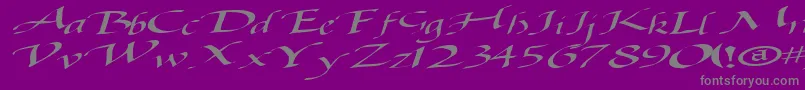 Baggagemastertext79RegularTtext-Schriftart – Graue Schriften auf violettem Hintergrund