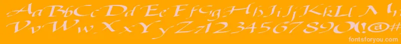 Baggagemastertext79RegularTtext-Schriftart – Rosa Schriften auf orangefarbenem Hintergrund