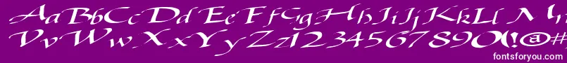 fuente Baggagemastertext79RegularTtext – Fuentes Blancas Sobre Fondo Morado