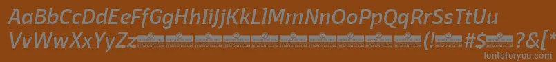 DomotikaItalicTrial Font – Gray Fonts on Brown Background