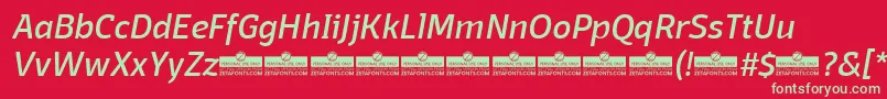 DomotikaItalicTrial Font – Green Fonts on Red Background