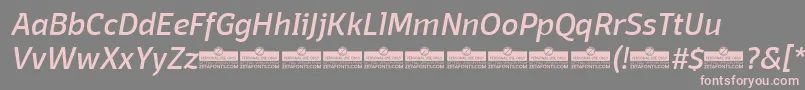 DomotikaItalicTrial Font – Pink Fonts on Gray Background