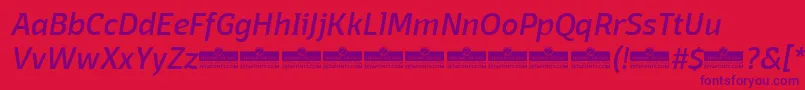 DomotikaItalicTrial Font – Purple Fonts on Red Background