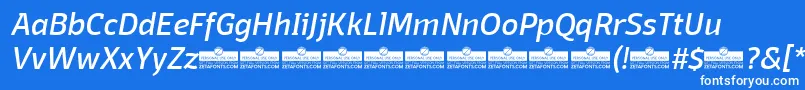 DomotikaItalicTrial Font – White Fonts on Blue Background