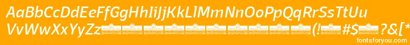 DomotikaItalicTrial Font – White Fonts on Orange Background
