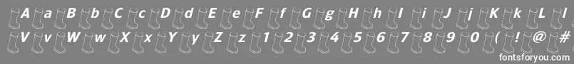 Oldbootslanted Font – White Fonts on Gray Background