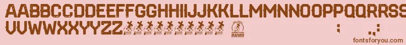 Rotunda Font – Brown Fonts on Pink Background