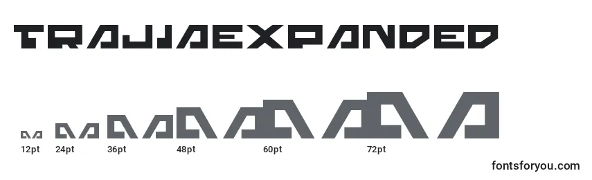 Размеры шрифта TrajiaExpanded
