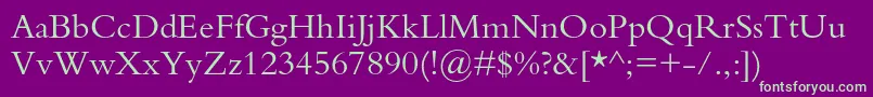 Bembostd Font – Green Fonts on Purple Background