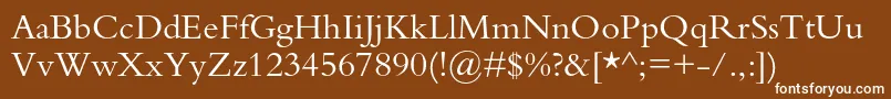 Bembostd Font – White Fonts on Brown Background