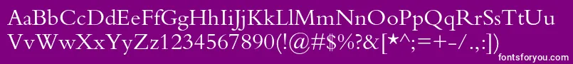 Bembostd Font – White Fonts on Purple Background