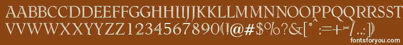 DagenhamRegularDb Font – White Fonts on Brown Background