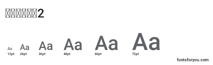 خنفشار2 Font Sizes