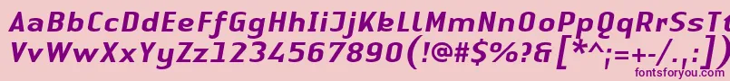 LinotypeAuthenticSansMediumitalic Font – Purple Fonts on Pink Background