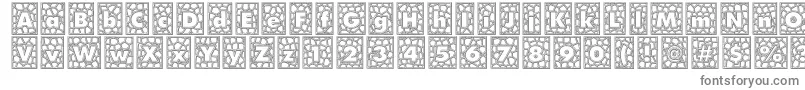 Шрифт QuintusLeadedglass – серые шрифты на белом фоне