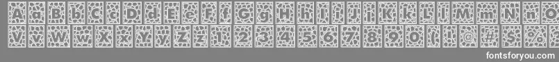 QuintusLeadedglass Font – White Fonts on Gray Background