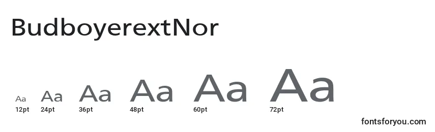 BudboyerextNor Font Sizes