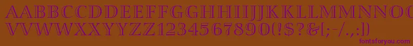 SmaragdAlternate Font – Purple Fonts on Brown Background
