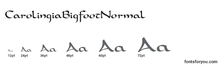 Размеры шрифта CarolingiaBigfootNormal