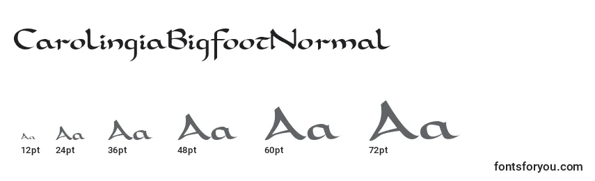 Größen der Schriftart CarolingiaBigfootNormal