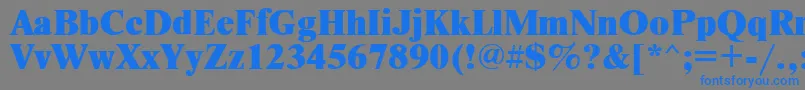 Czcionka TimesetxRus – niebieskie czcionki na szarym tle
